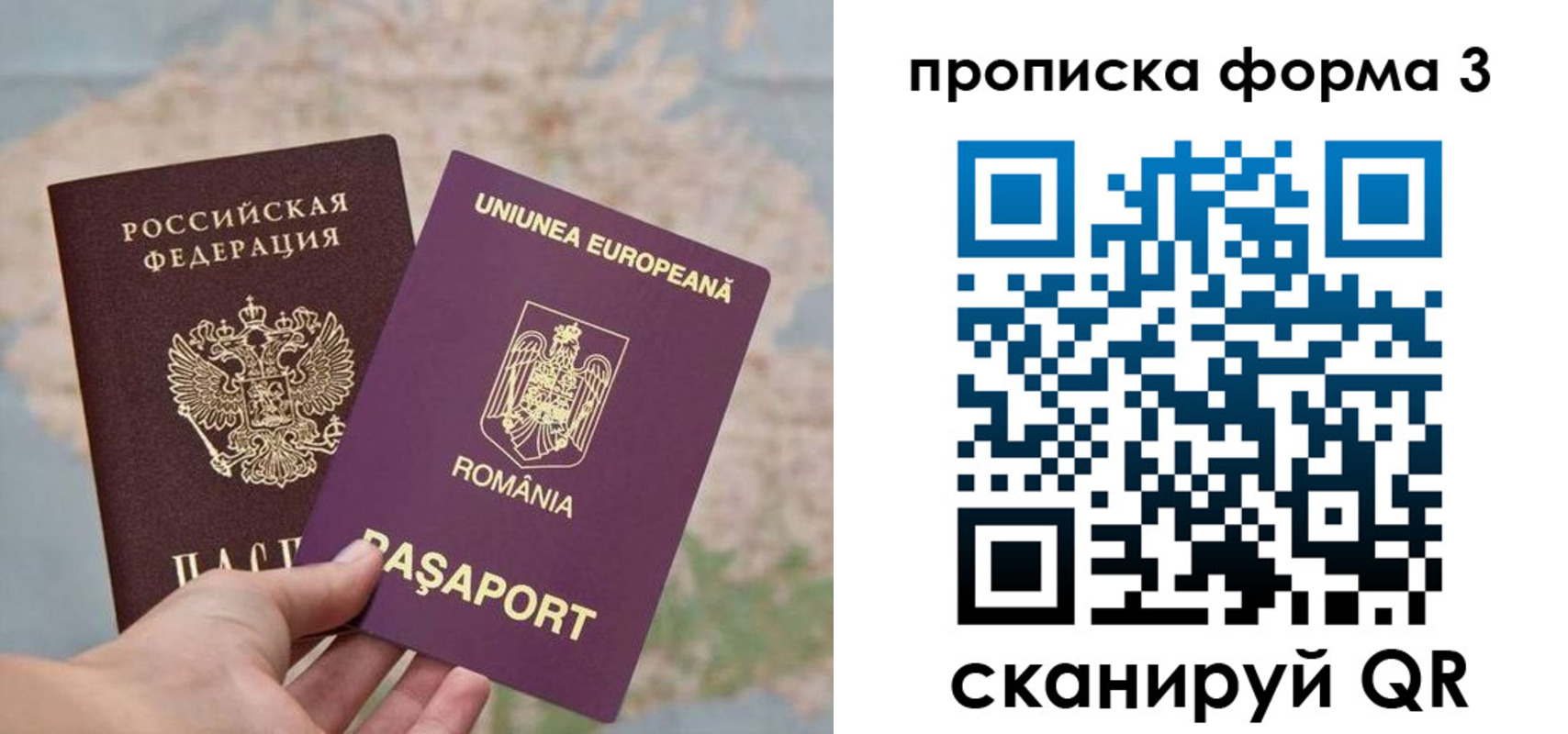 временная регистрация недорого в Брянске